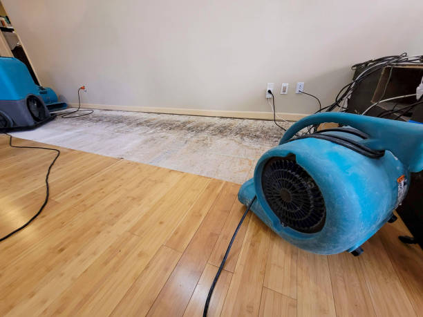 Professional Basement Flood Cleanup technician working in Willard, UT